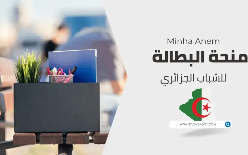 الموقع الرسمي “minha.anem.dz“ رابط التسجيل في منحة البطالة 2024 بالجزائر وما هي اهم المطلوبة وخطوات التجديد في حالة التوقف