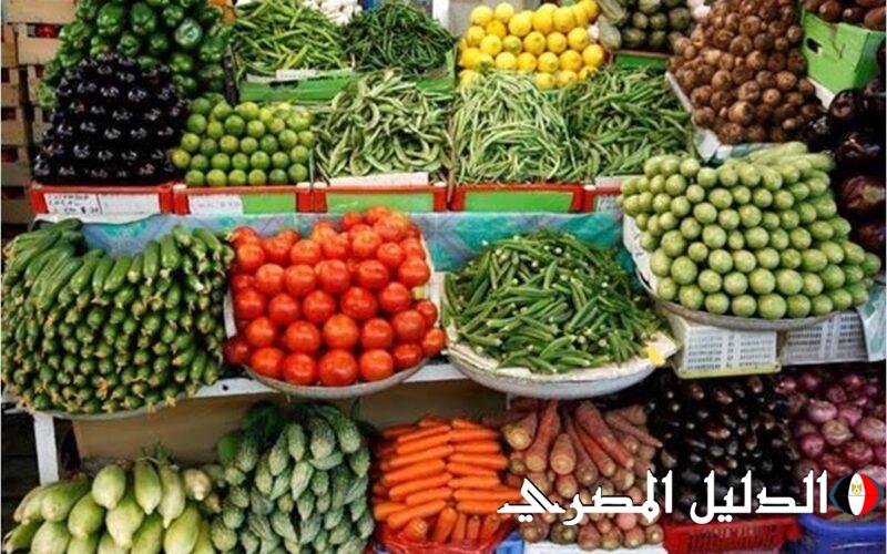 ‘‘ بكام يا أوطه ‘‘ سعر الخضروات والفاكهة اليوم الاحد 3 مارس 2024 في جميع الاسواق المحلية