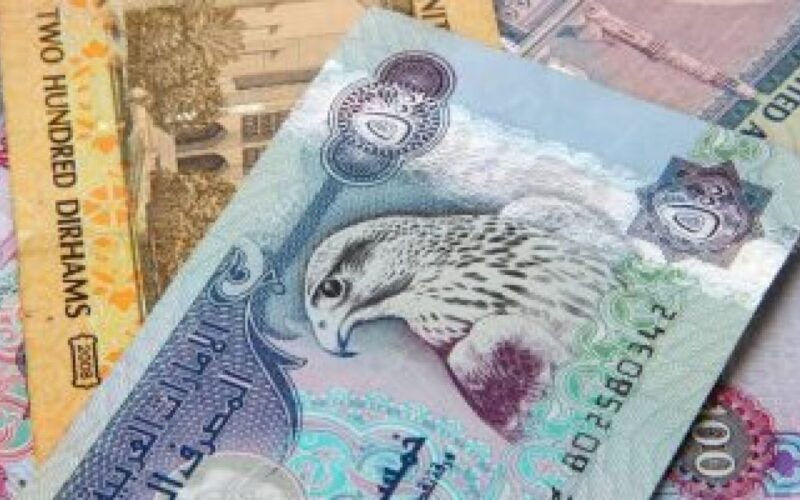 ‘‘ الإماراتي شوف وصل كام  ‘‘ سعر الدرهم الاماراتي اليوم في السوق السوداء الأحد 3 مارس 2024 في مصر