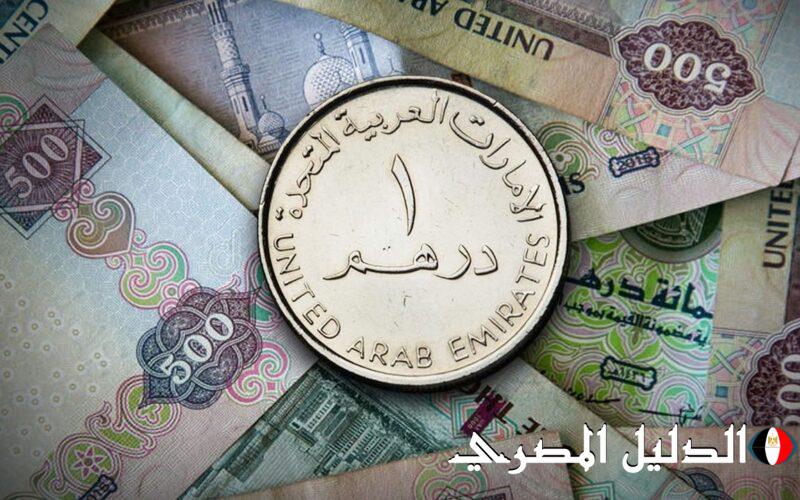 ‘‘ الإماراتي بيخسر كتير ‘‘ سعر الدرهم الاماراتي في السوق السوداء اليوم الجمعة 1 مارس 2024 والبنك