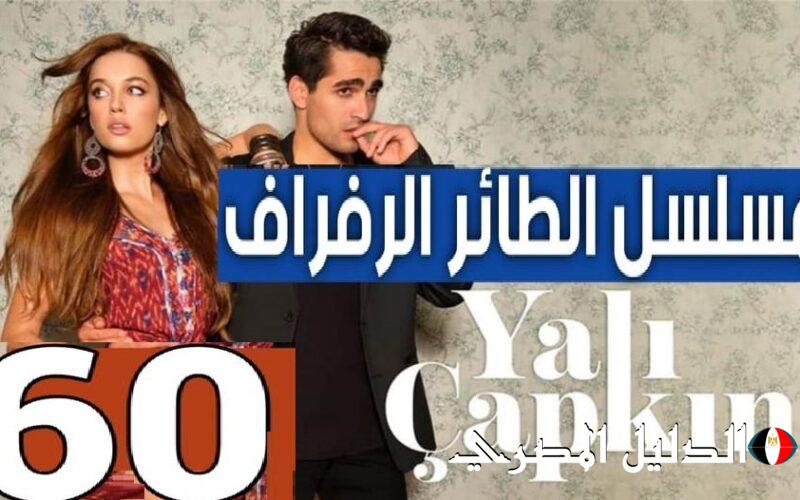 مسلسل طائر الرفراف الحلقة 60  مترجمة على وي سيما والقنوات الناقلة لطائر الرفراف الجديد 2024