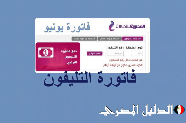 قبل ايقاف الخدمة.. لينك الاستعلام عن فاتورة الخط الأرضي شهر يونيو 2024 عبر موقع المصرية للاتصالات بالخطوات