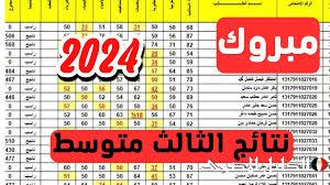 «مبارك للناجحين» Link الاستعلام عن نتائج الثالث متوسط 2024 الدور الاول بجميع محافظات الجمهورية