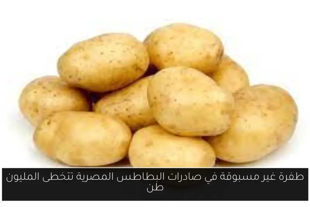 طفرة غير مسبوقة في صادرات البطاطس المصرية تتخطى المليون طن
