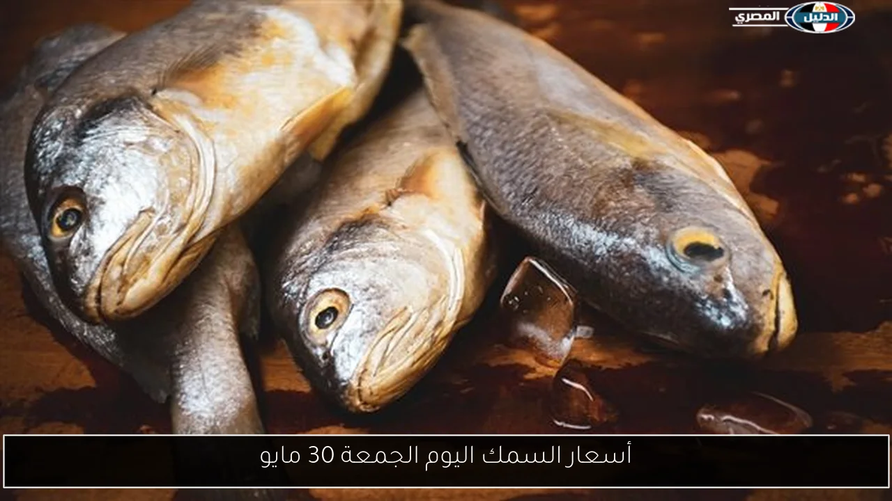 أسعار السمك اليوم الجمعة 30 مايو
