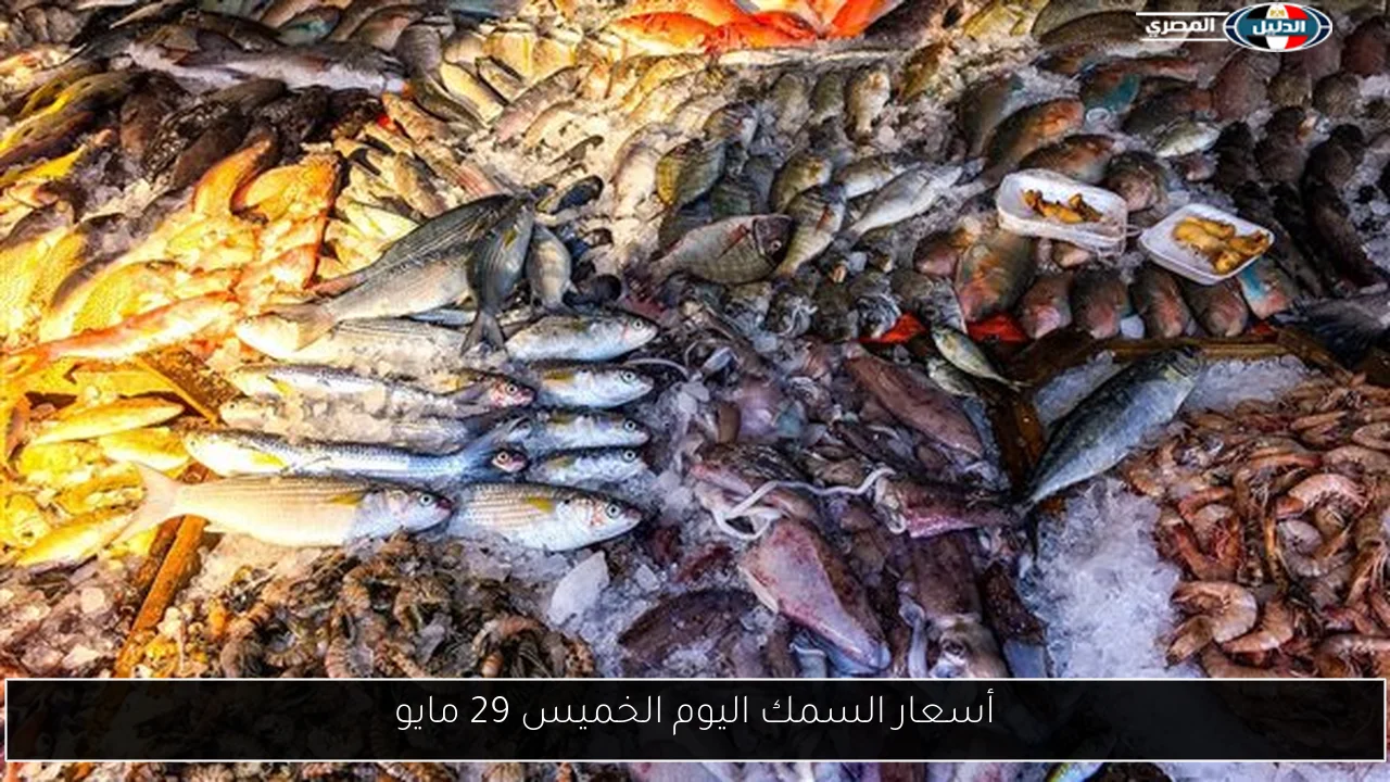 أسعار السمك اليوم الخميس 29 مايو