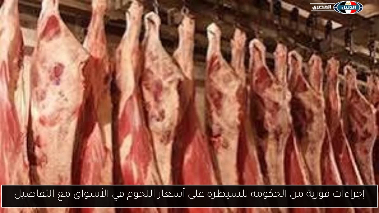 إجراءات فورية من الحكومة للسيطرة على أسعار اللحوم في الأسواق مع التفاصيل