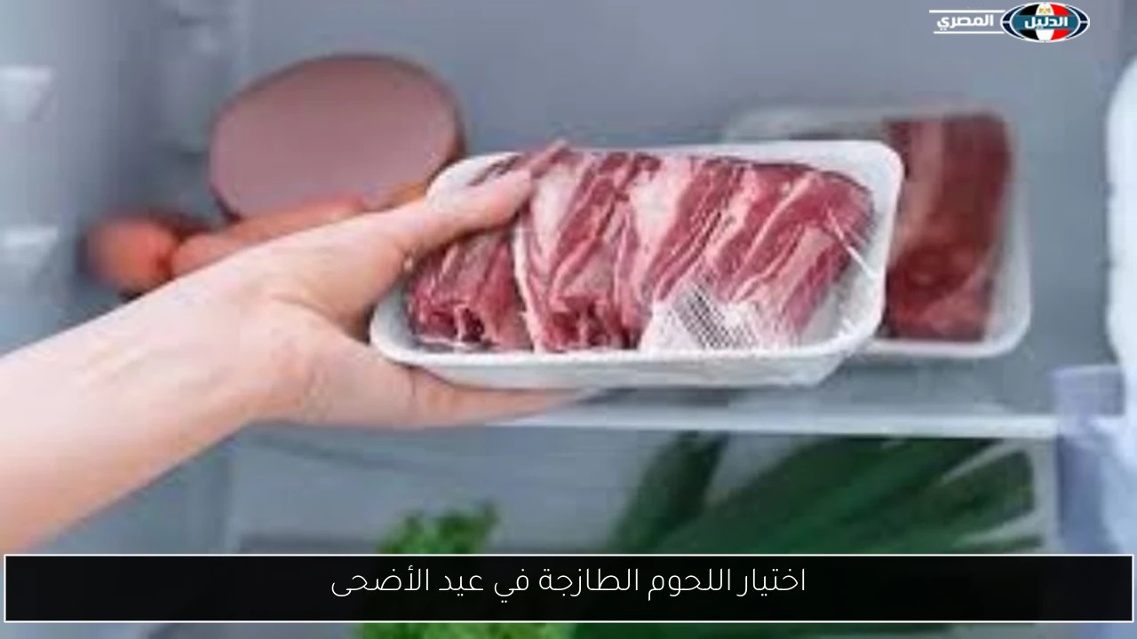 اختيار اللحوم الطازجة في عيد الأضحى