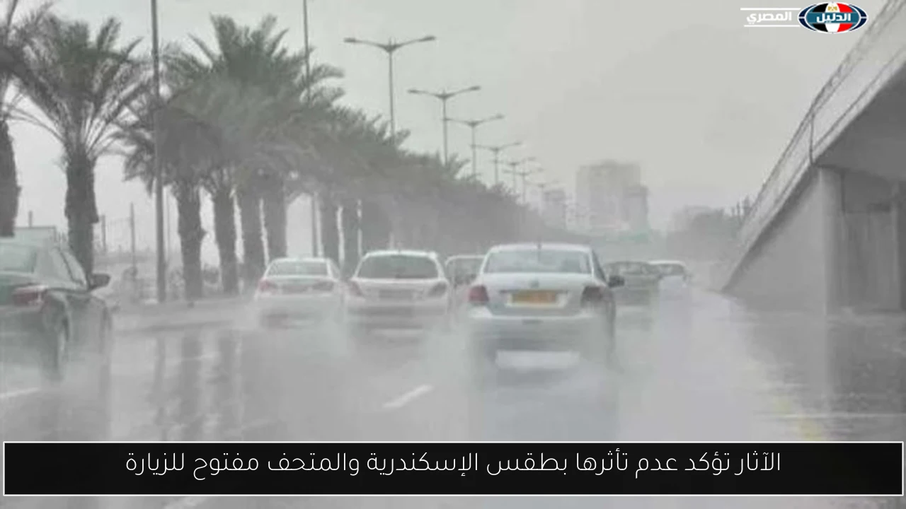 الآثار تؤكد عدم تأثرها بطقس الإسكندرية والمتحف مفتوح للزيارة