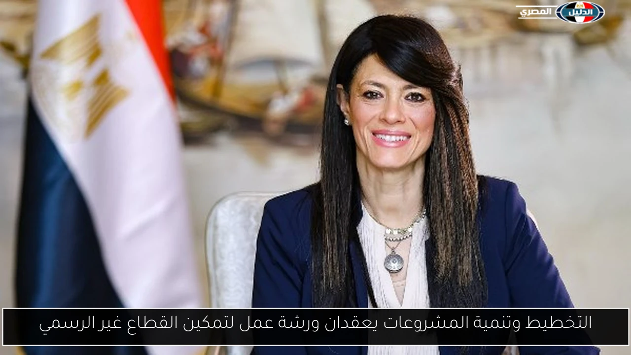 التخطيط وتنمية المشروعات يعقدان ورشة عمل لتمكين القطاع غير الرسمي