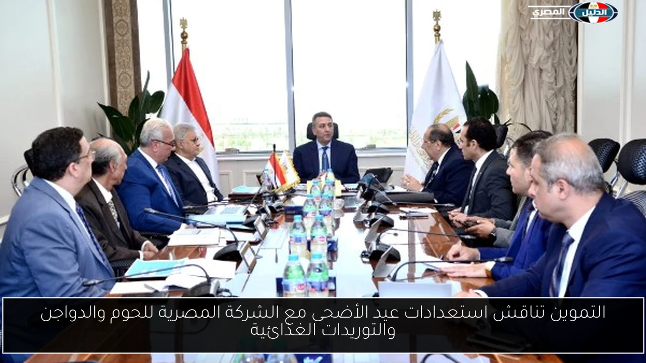 التموين تناقش استعدادات عيد الأضحى مع الشركة المصرية للحوم والدواجن والتوريدات الغذائية