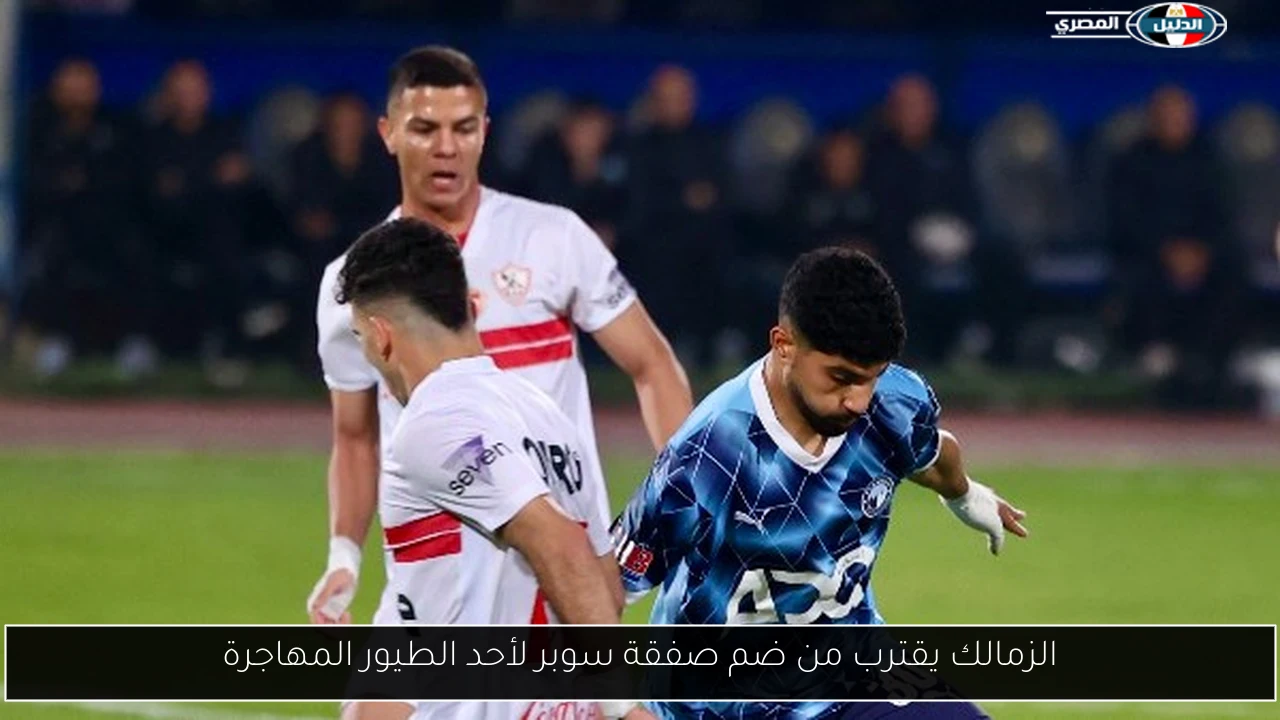 الزمالك يقترب من ضم صفقة سوبر لأحد الطيور المهاجرة
