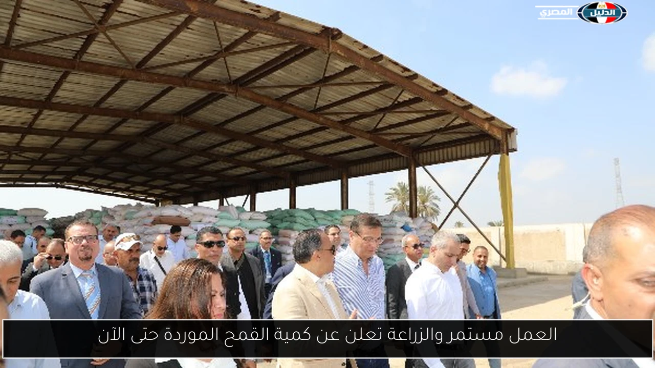 العمل مستمر والزراعة تعلن عن كمية القمح الموردة حتى الآن