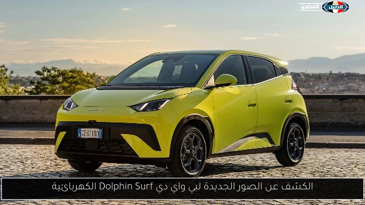 الكشف عن الصور الجديدة لبي واي دي Dolphin Surf الكهربائية