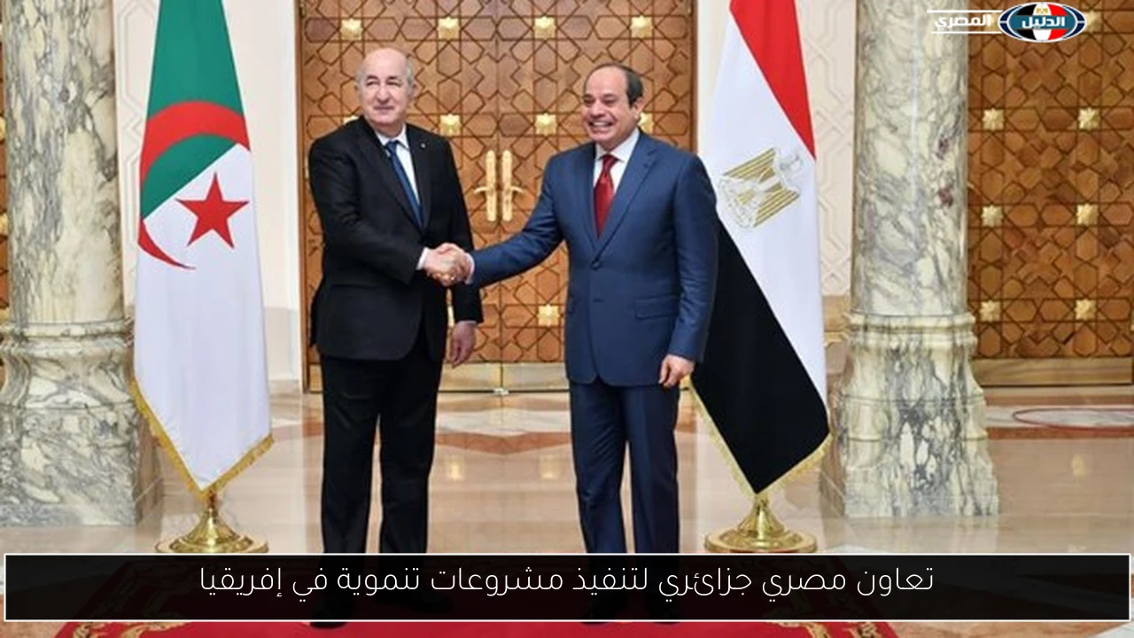 تعاون مصري جزائري لتنفيذ مشروعات تنموية في إفريقيا