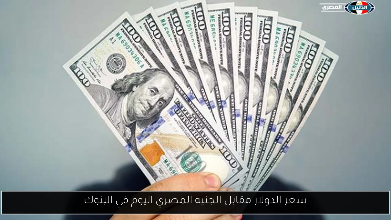 سعر الدولار مقابل الجنيه المصري اليوم في البنوك