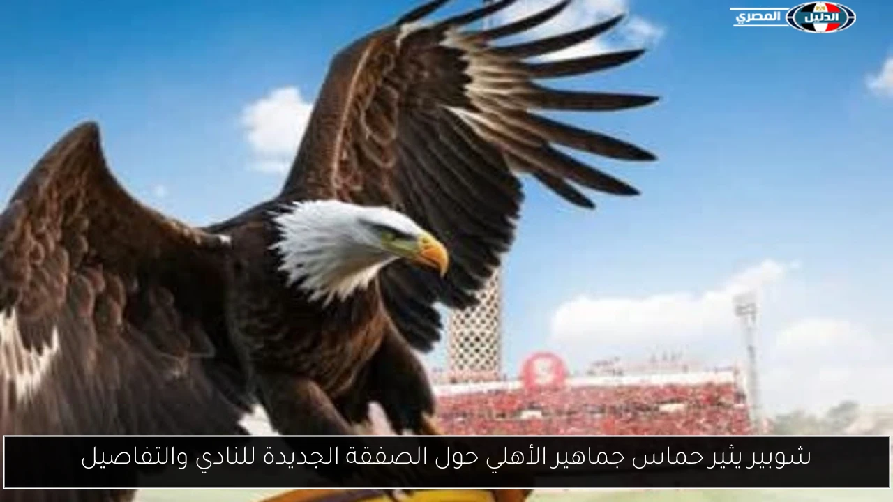شوبير يثير حماس جماهير الأهلي حول الصفقة الجديدة للنادي والتفاصيل