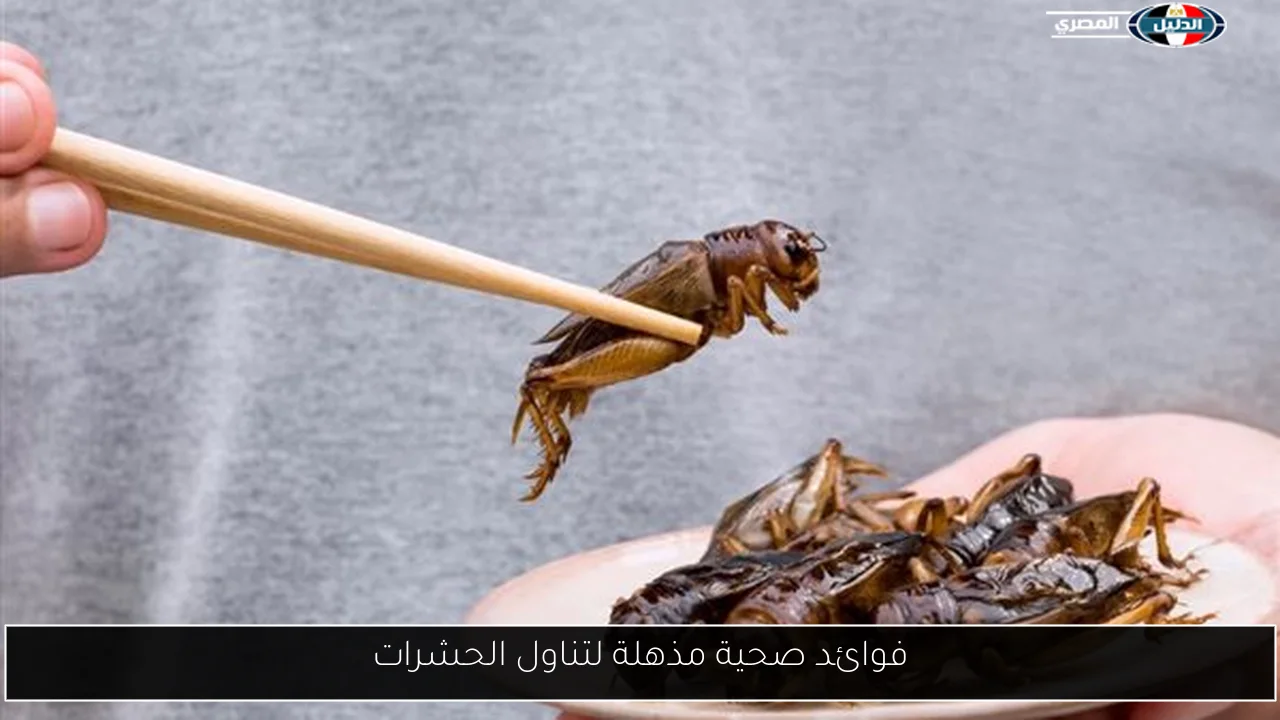 فوائد صحية مذهلة لتناول الحشرات