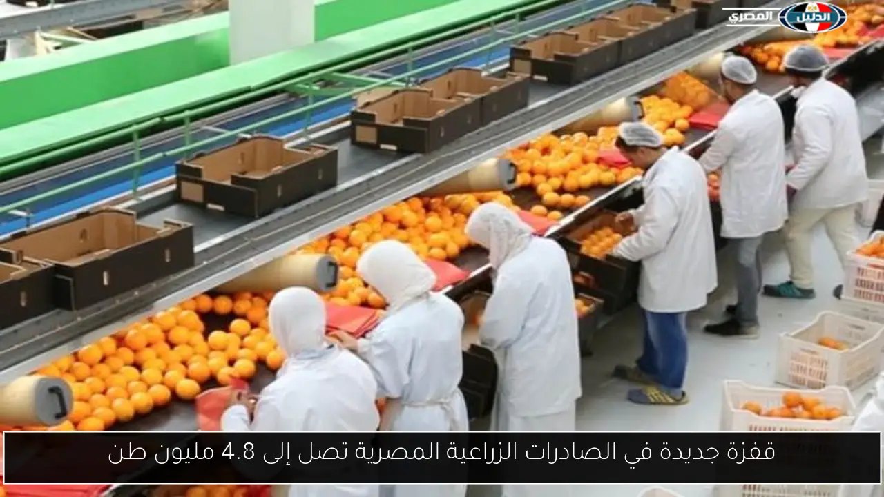 قفزة جديدة في الصادرات الزراعية المصرية تصل إلى 4.8 مليون طن
