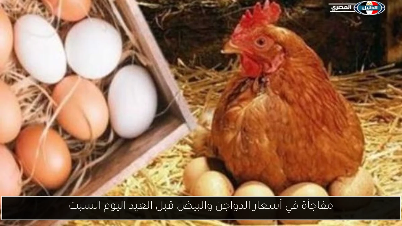 مفاجأة في أسعار الدواجن والبيض قبل العيد اليوم السبت