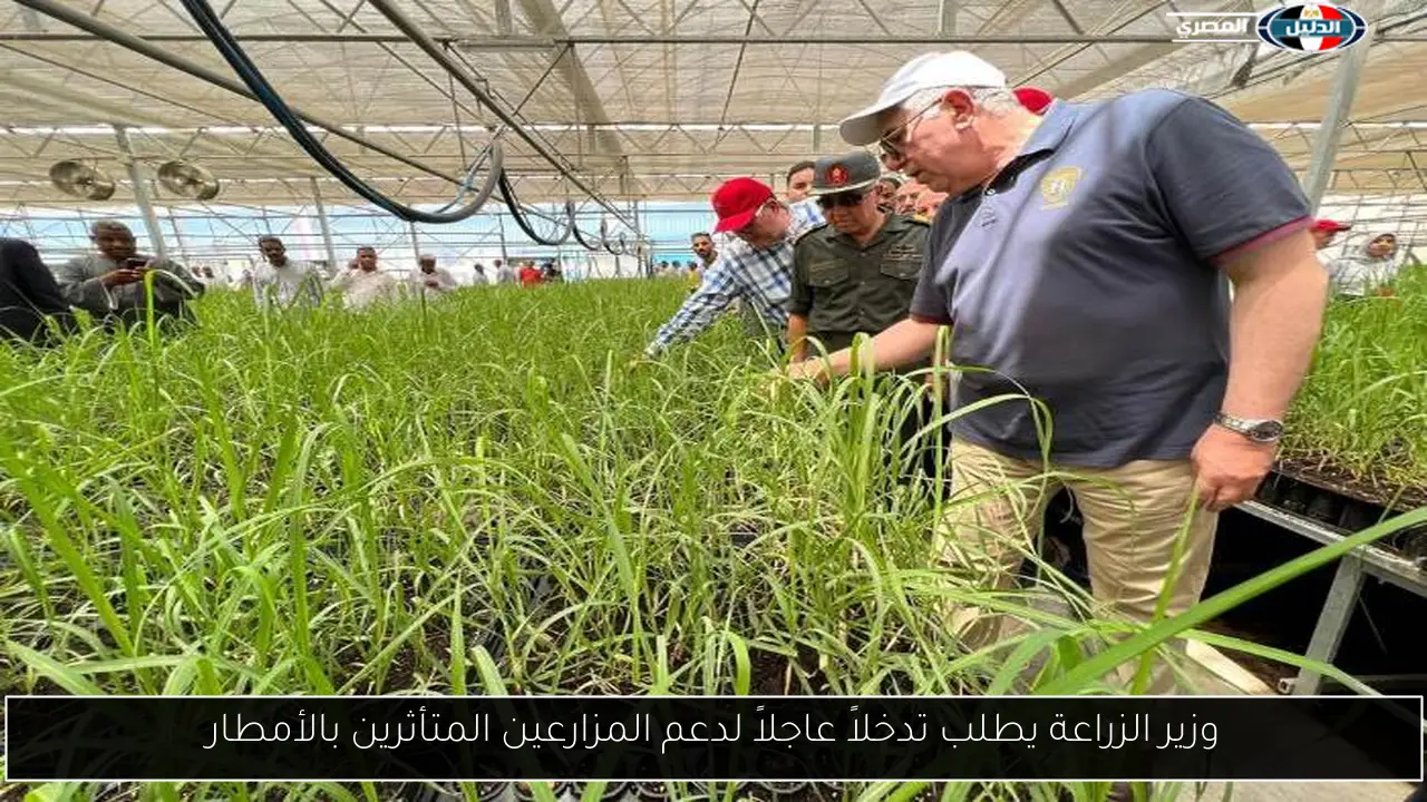 وزير الزراعة يطلب تدخلاً عاجلاً لدعم المزارعين المتأثرين بالأمطار