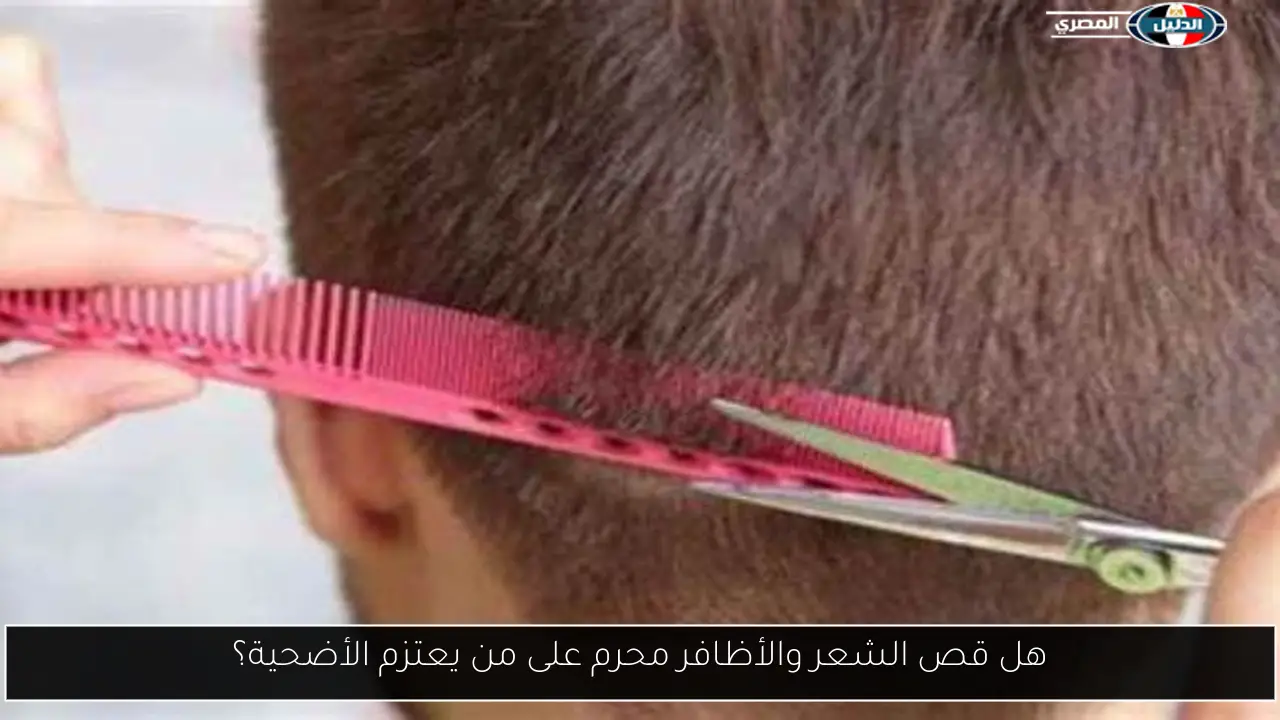 هل قص الشعر والأظافر محرم على من يعتزم الأضحية؟