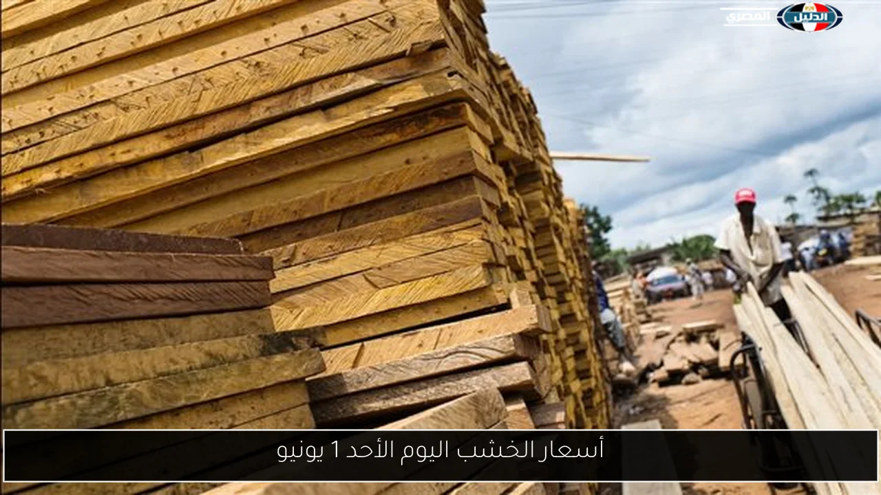 أسعار الخشب اليوم الأحد 1 يونيو