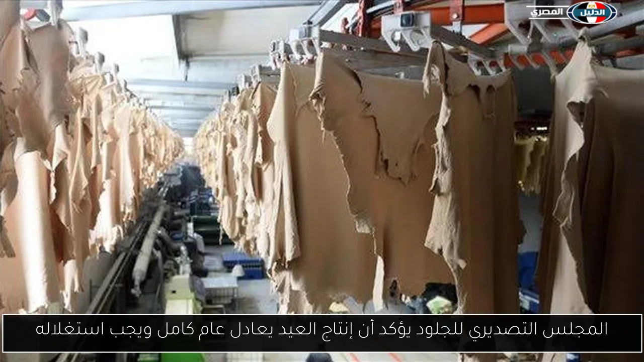 المجلس التصديري للجلود يؤكد أن إنتاج العيد يعادل عام كامل ويجب استغلاله