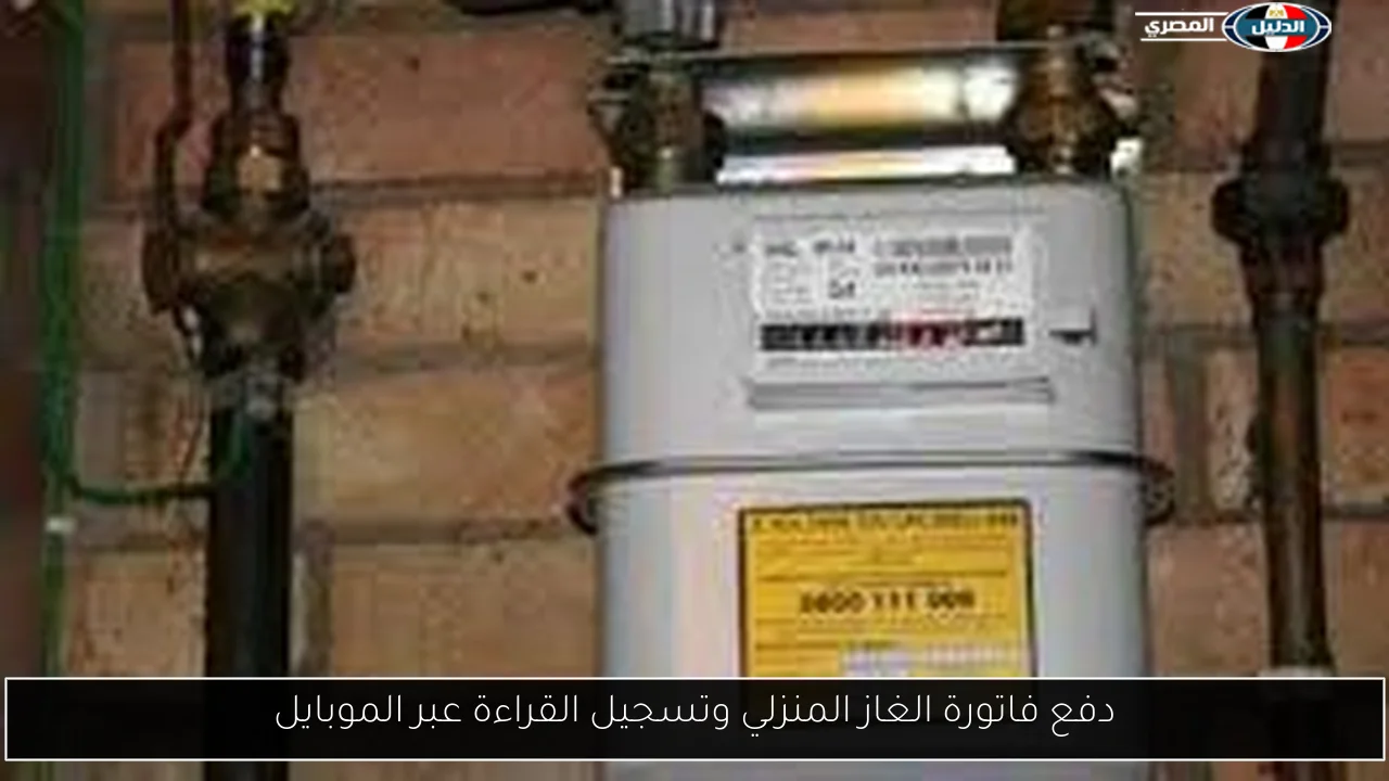 دفع فاتورة الغاز المنزلي وتسجيل القراءة عبر الموبايل