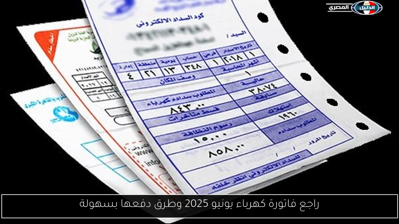 راجع فاتورة كهرباء يونيو 2025 وطرق دفعها بسهولة