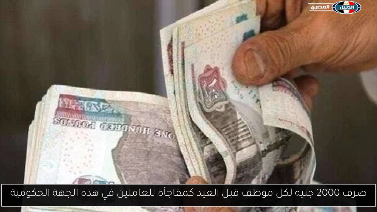 صرف 2000 جنيه لكل موظف قبل العيد كمفاجأة للعاملين في هذه الجهة الحكومية