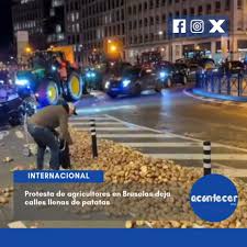 البطاطس على الارض فى اوروبا البطاطس على الارض فى اوروبا