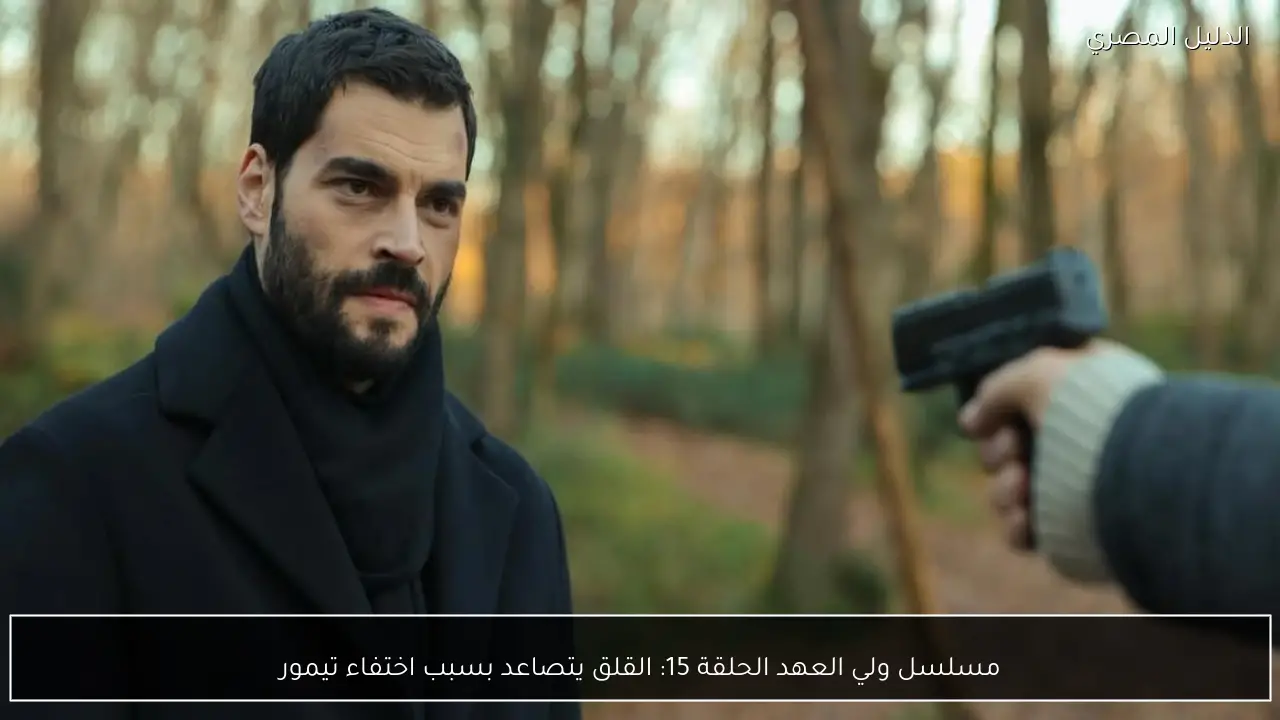 مسلسل ولي العهد الحلقة 15: القلق يتصاعد بسبب اختفاء تيمور