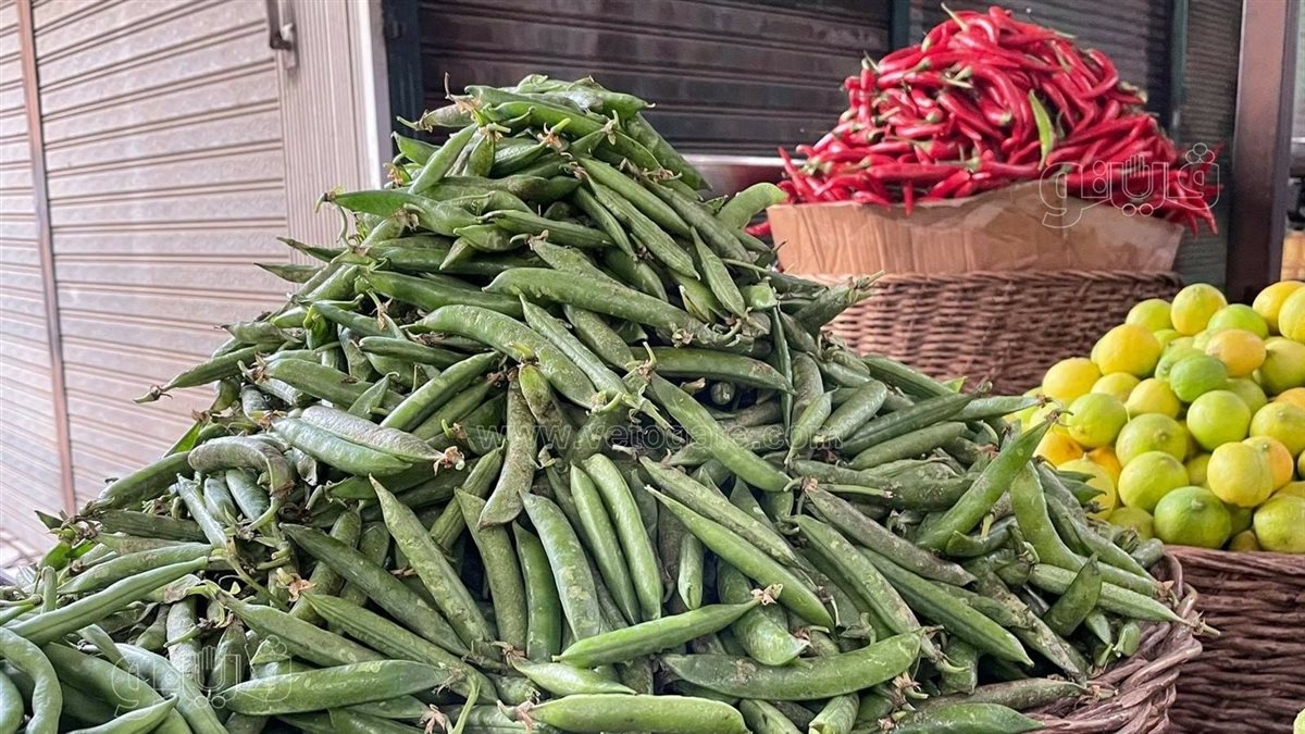 سعر الخضار اليوم، الدليل المصري