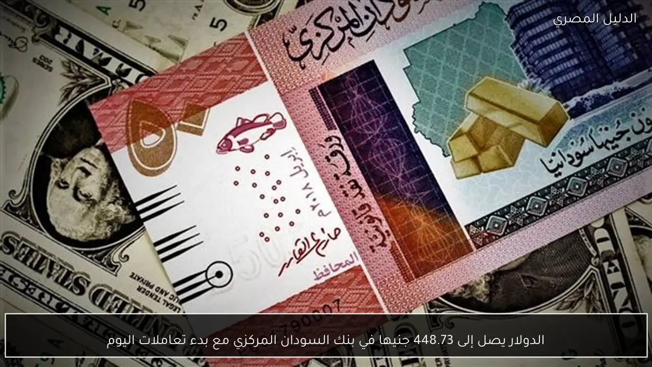 الدولار يصل إلى 448.73 جنيها في بنك السودان المركزي مع بدء تعاملات اليوم