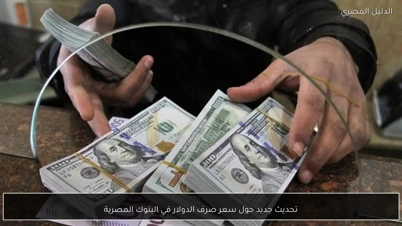 تحديث جديد حول سعر صرف الدولار في البنوك المصرية