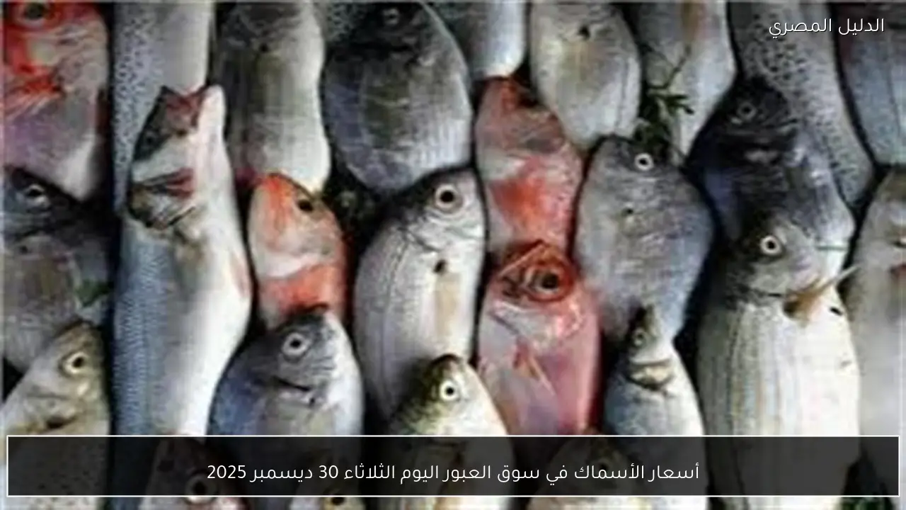 أسعار الأسماك في سوق العبور اليوم الثلاثاء 30 ديسمبر 2025