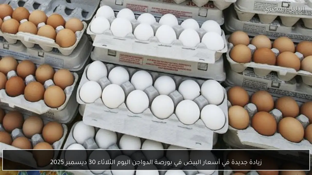 زيادة جديدة في أسعار البيض في بورصة الدواجن اليوم الثلاثاء 30 ديسمبر 2025