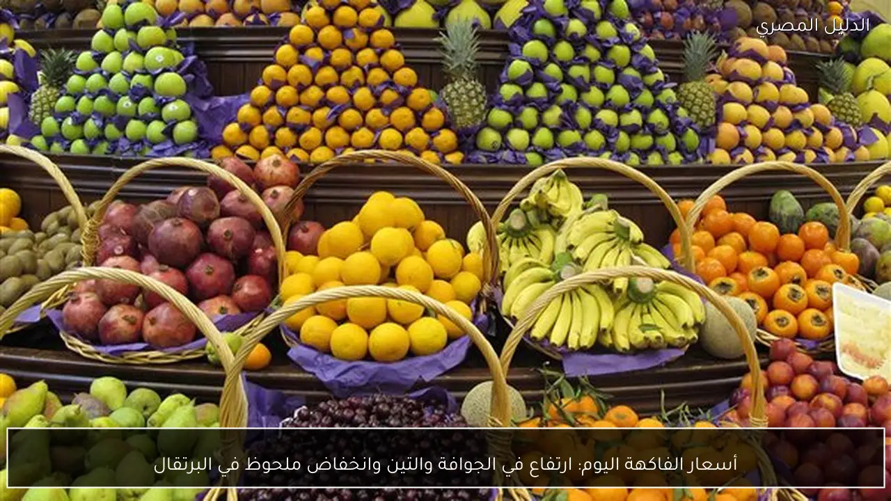 أسعار الفاكهة اليوم: ارتفاع في الجوافة والتين وانخفاض ملحوظ في البرتقال