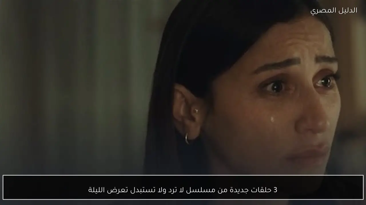 3 حلقات جديدة من مسلسل لا ترد ولا تستبدل تعرض الليلة