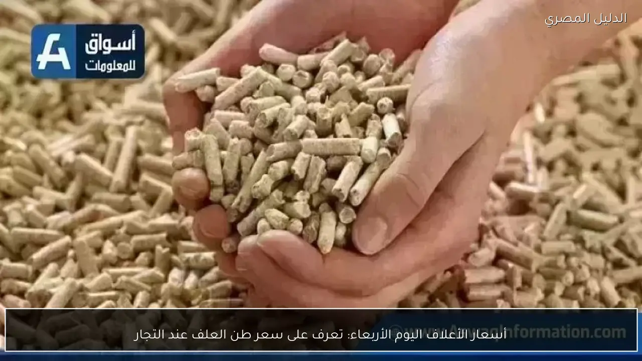 أسعار الأعلاف اليوم الأربعاء: تعرف على سعر طن العلف عند التجار