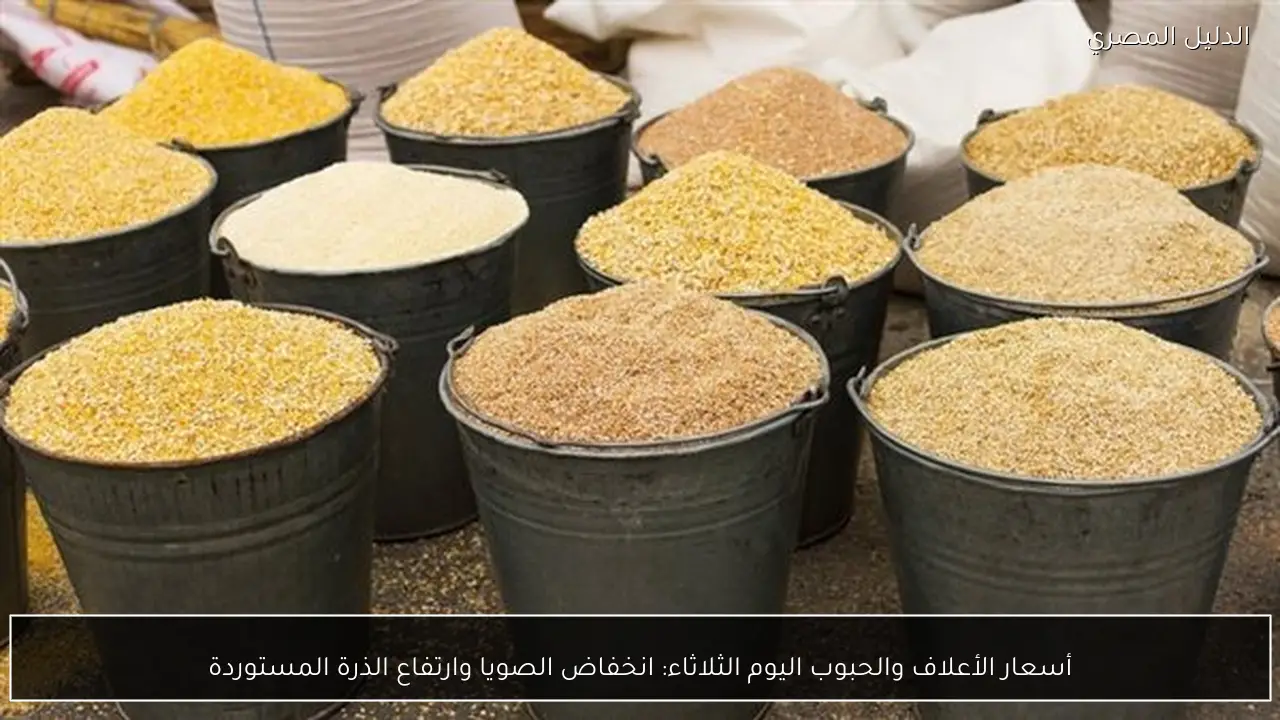 أسعار الأعلاف والحبوب اليوم الثلاثاء: انخفاض الصويا وارتفاع الذرة المستوردة