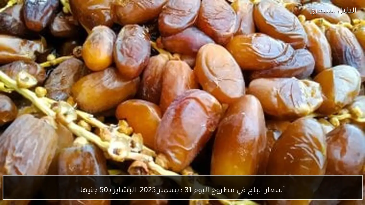 أسعار البلح في مطروح اليوم 31 ديسمبر 2025: البشاير بـ50 جنيها