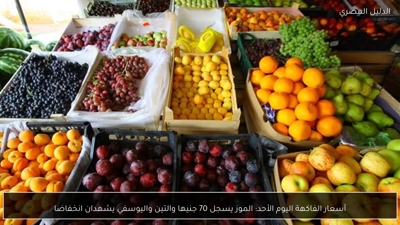 أسعار الفاكهة اليوم الأحد: الموز يسجل 70 جنيها والتين واليوسفي يشهدان انخفاضا