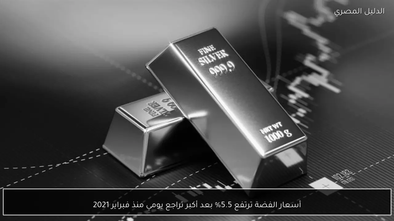 أسعار الفضة ترتفع 5.5% بعد أكبر تراجع يومي منذ فبراير 2021