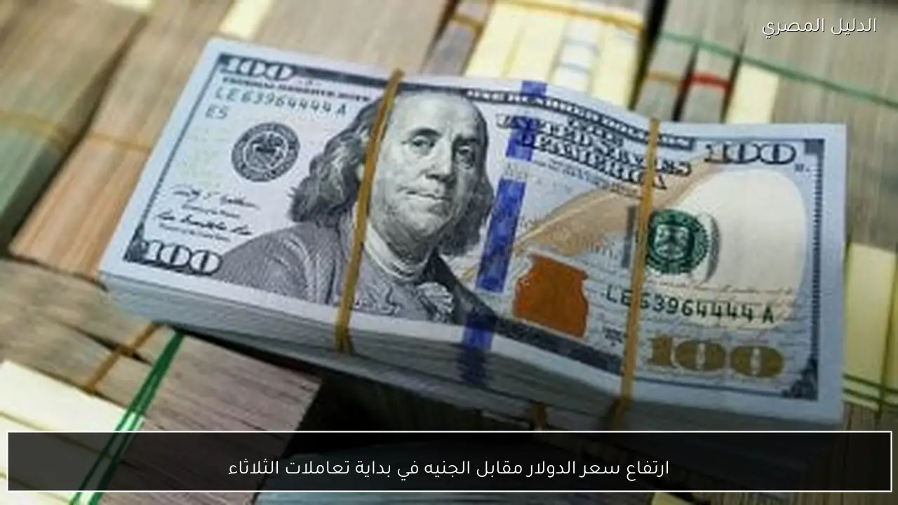 ارتفاع سعر الدولار مقابل الجنيه في بداية تعاملات الثلاثاء