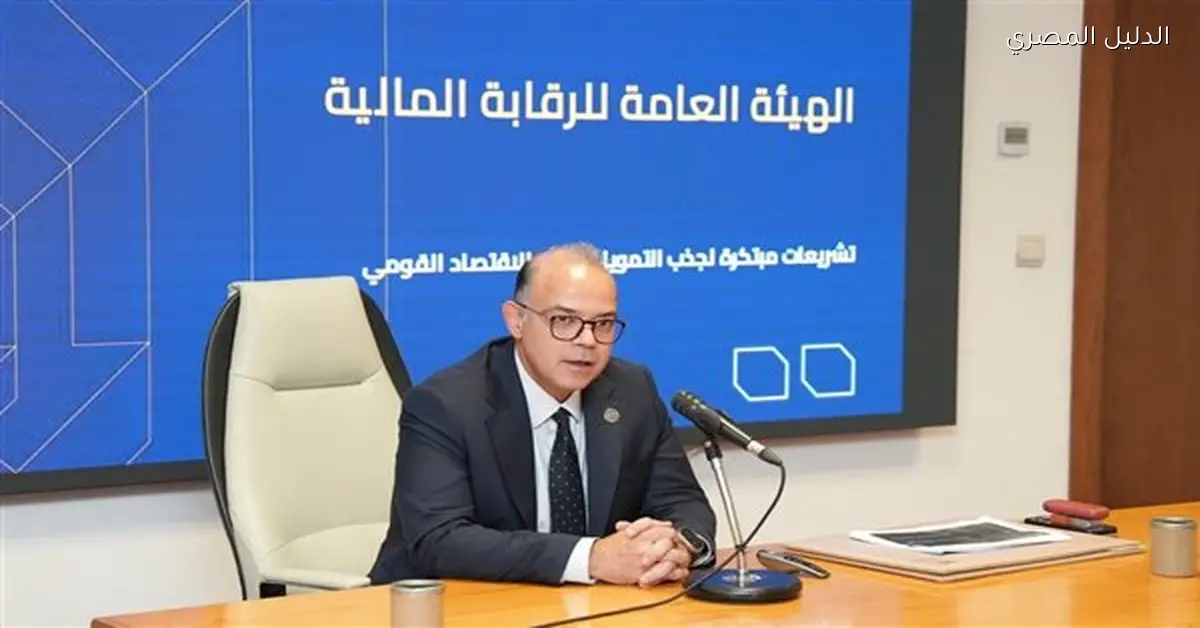 الرقابة المالية تطلق نموذج وثيقة تأمين سند الملكية العقارية في مصر