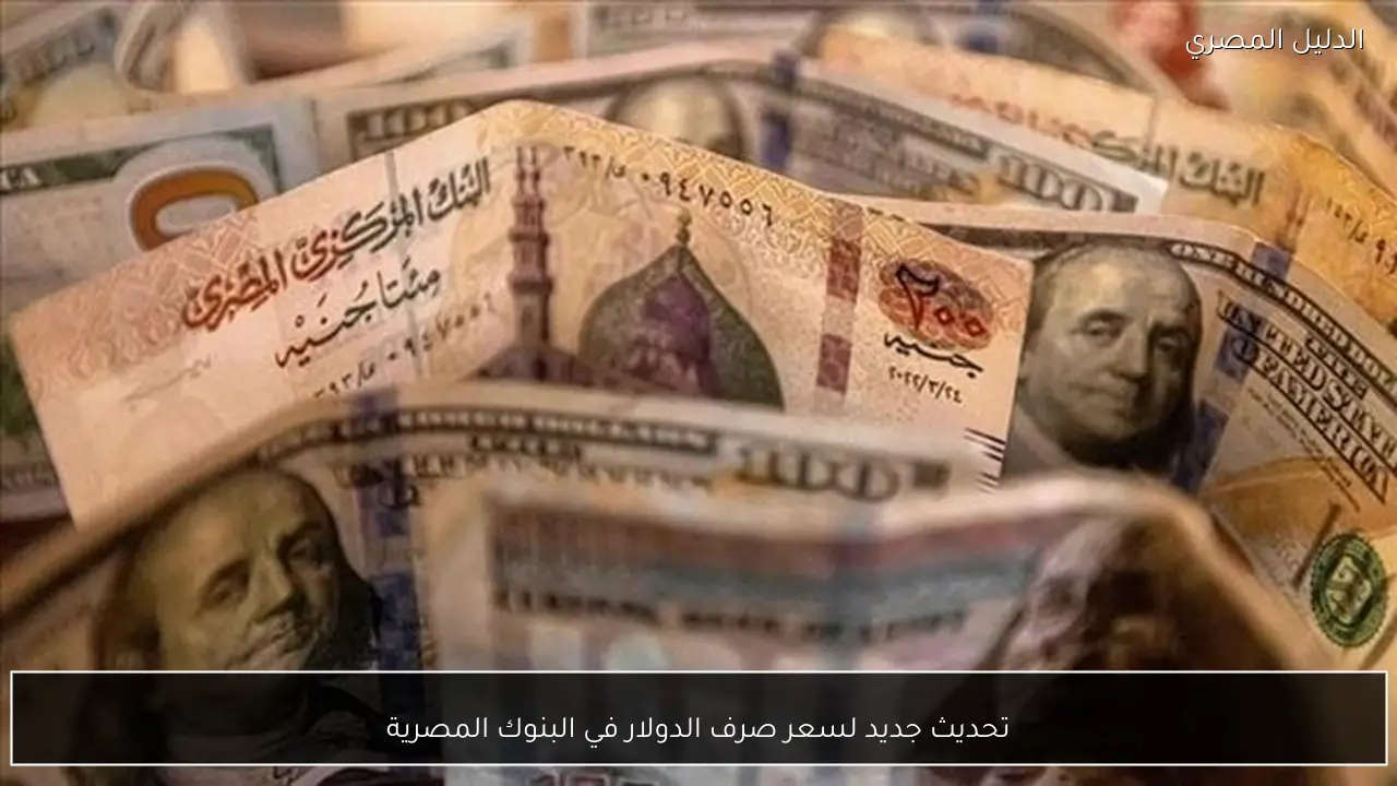 تحديث جديد لسعر صرف الدولار في البنوك المصرية