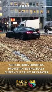 فوضى البطاطس فى بروكسل فوضى البطاطس فى بروكسل