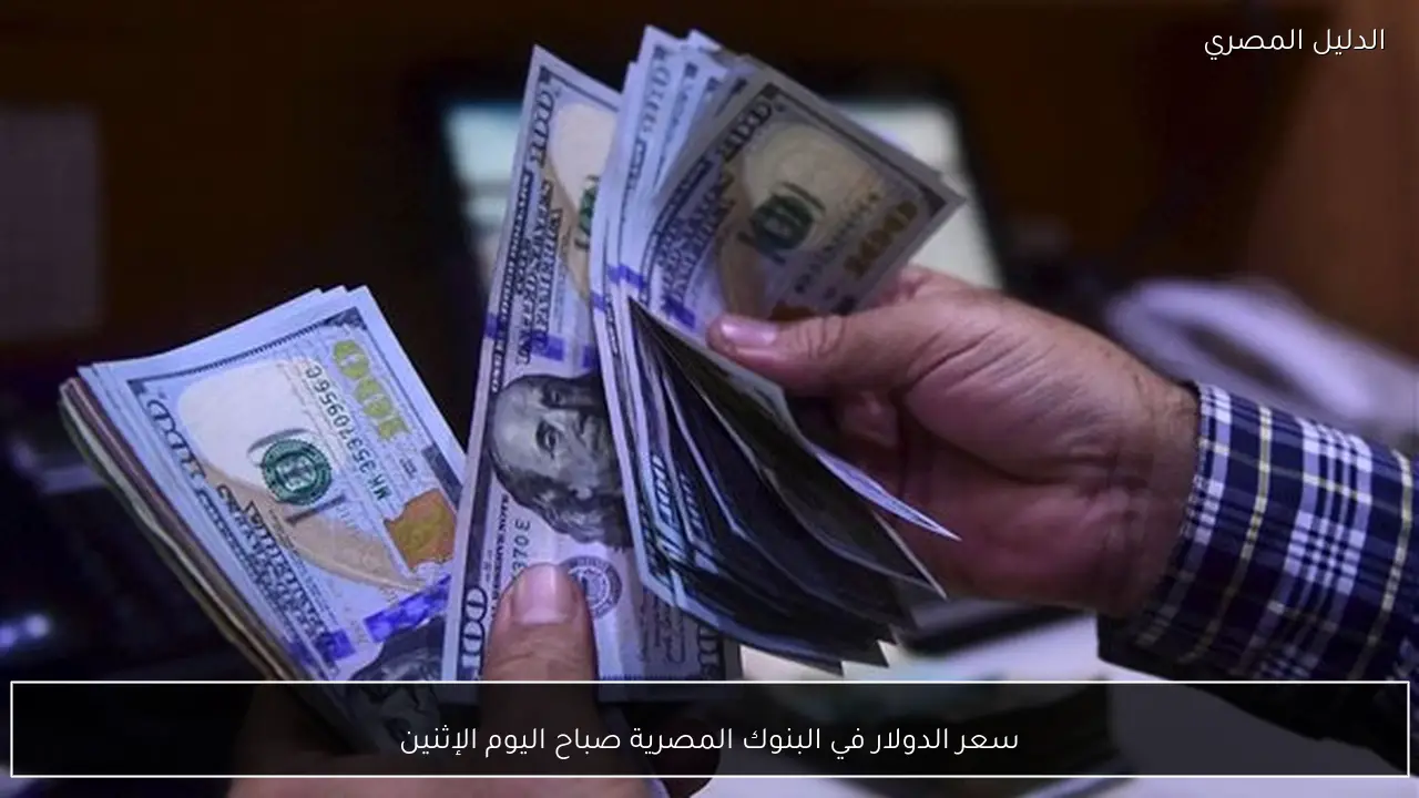 سعر الدولار في البنوك المصرية صباح اليوم الإثنين